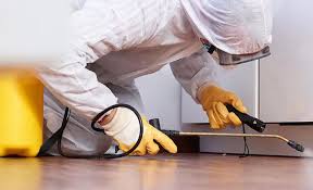 Best Residential Pest Control  in Paisley, FL